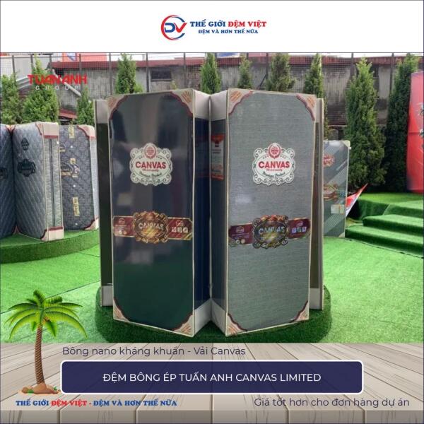 Đệm bông ép Tuấn Anh Canvas Limited 5